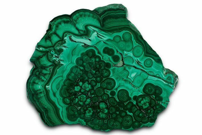 Flowery Polished Malachite Slab - DR Congo #350816